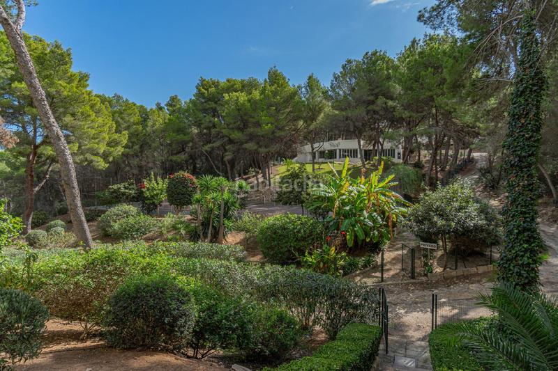 Foto 77765e3d-ed41-4cab-89eb-15ceea8ab061. Apartament amb calefacció aparcament piscina a Sol de Mallorca Calvià