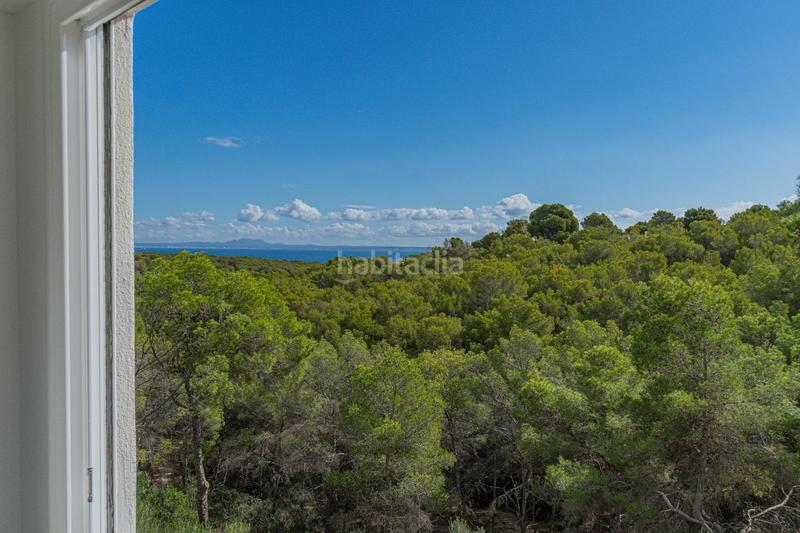 Foto aff129d2-418d-4671-970f-b7ed20db59e0. Apartament amb calefacció aparcament piscina a Sol de Mallorca Calvià