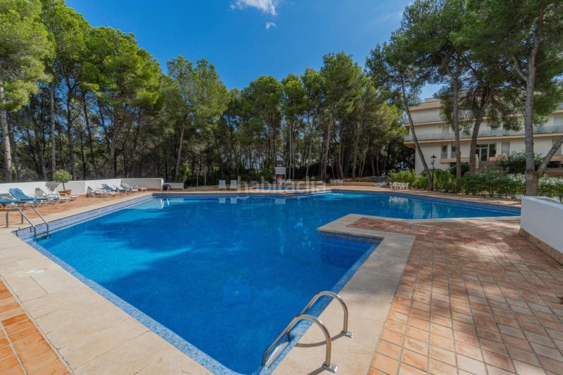 Foto e7db6ddb-ba2a-4ddd-9577-924eedb9bd4e. Apartament amb calefacció aparcament piscina a Sol de Mallorca Calvià