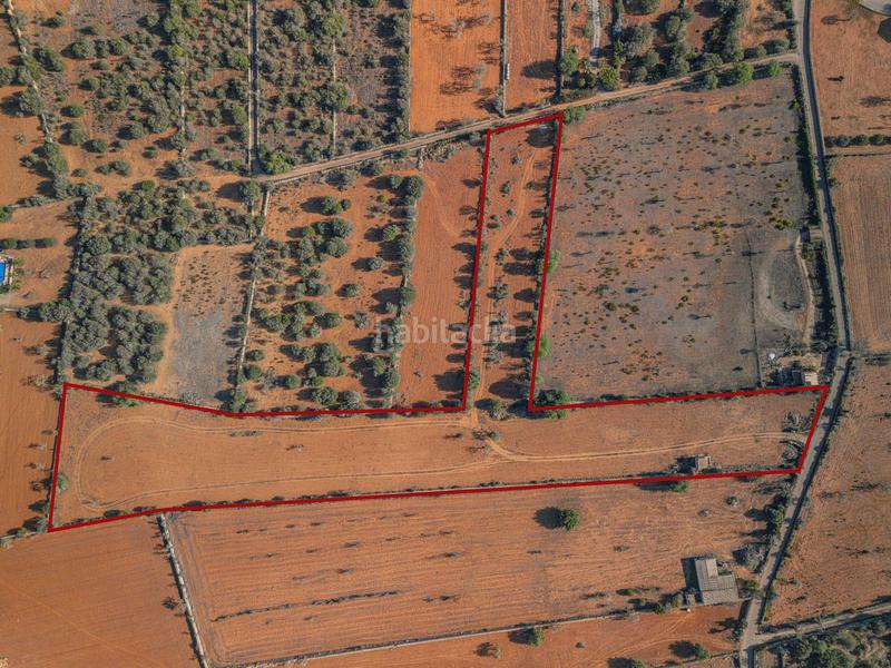 Foto 0b7abaa8-fb20-4532-9e19-b9e31c7fc503. Terrain résidentiel dans Santanyí poble Santanyí