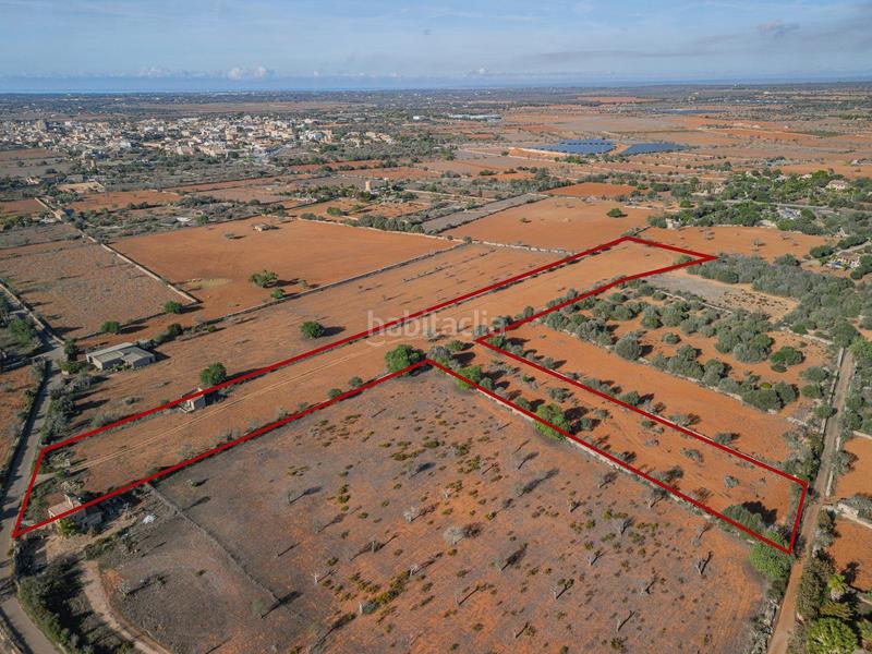 Foto 52544a7c-e963-4aef-b1a9-68c8e6b1ee00. Terrain résidentiel dans Santanyí poble Santanyí