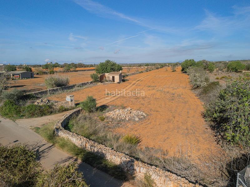 Foto 8314c0d8-fef6-41bf-bdf1-caaf2eb24125. Terrain résidentiel dans Santanyí poble Santanyí