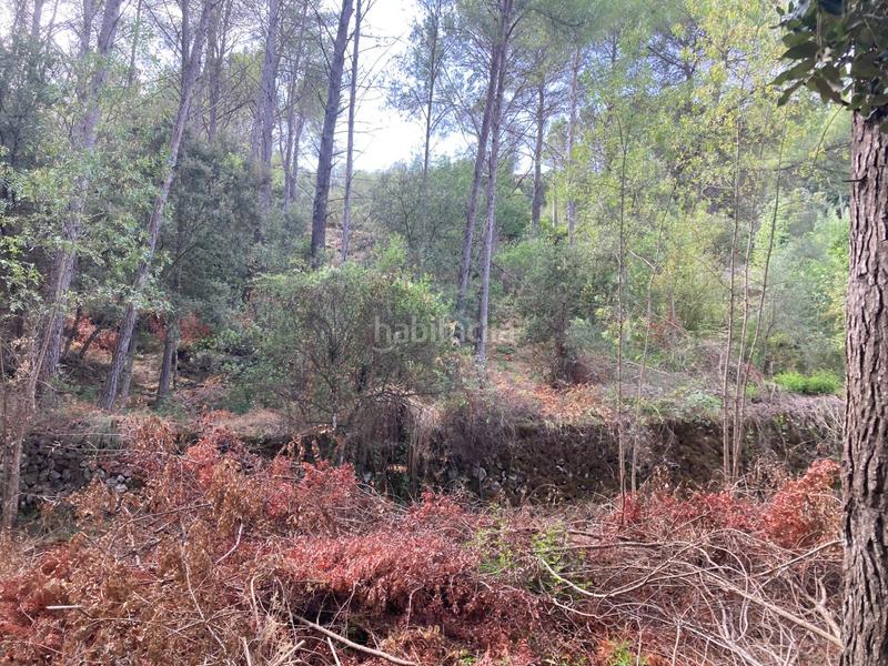 Foto 2a736444-37c2-41da-9f14-98153c215d7d. Terreno residenziale in Puigpunyent