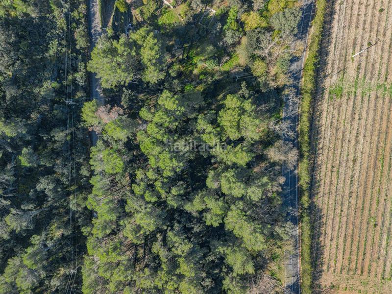 Foto 7dc7595a-d203-414e-98d4-074fd00cd9d5. Terreno residenziale in Puigpunyent