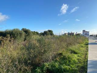 Wohngrundstück in Centre Històric. Parcela edificable en malbúger, mahón