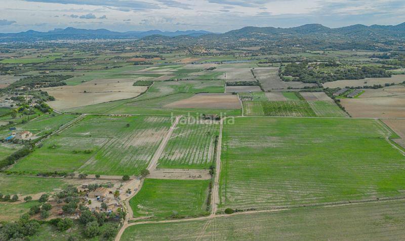 Foto 0efd6a1a-1681-4c55-8d88-abab1b035512. Terreny residencial a Manacor centre Manacor