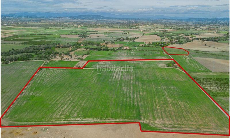 Foto 5c70a350-77ed-4f98-b263-cf159a9b5e9b. Terreny residencial a Manacor centre Manacor