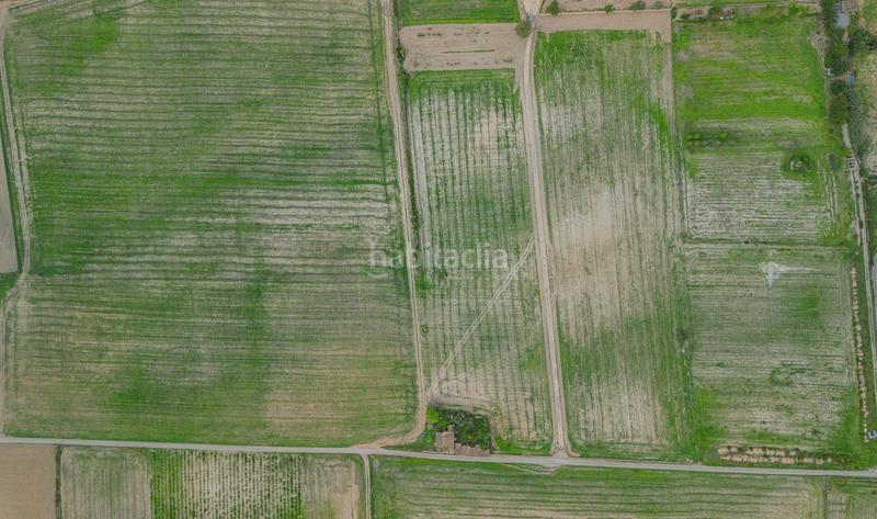 Foto 5f5149db-948d-4d03-8c7d-b39040e9aaed. Terreny residencial a Manacor centre Manacor