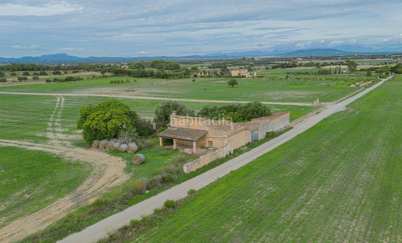 Foto 7c208b88-385e-467d-b7e7-9335cbf46bf1. Terreny residencial a Manacor centre Manacor