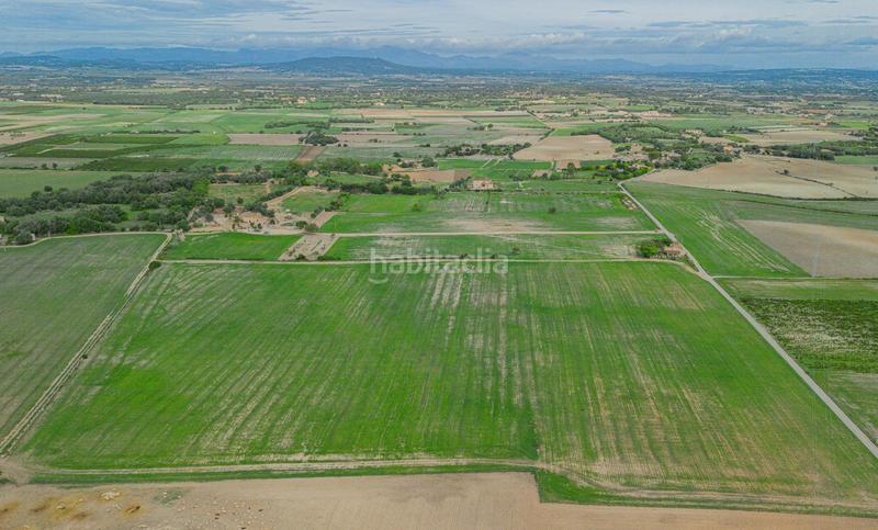 Foto 82a8f498-f02a-4246-a4f9-840243e76b3e. Terreny residencial a Manacor centre Manacor