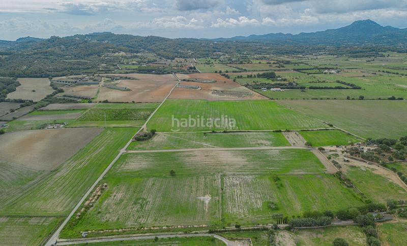 Foto a8b81e40-9594-4490-bcb8-16ec28982f69. Terreny residencial a Manacor centre Manacor