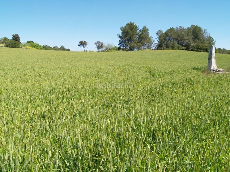 Foto 14e3eb02-b651-4e00-95af-eab021d15cd3. Propriété dans Santa Margalida poble Santa Margalida