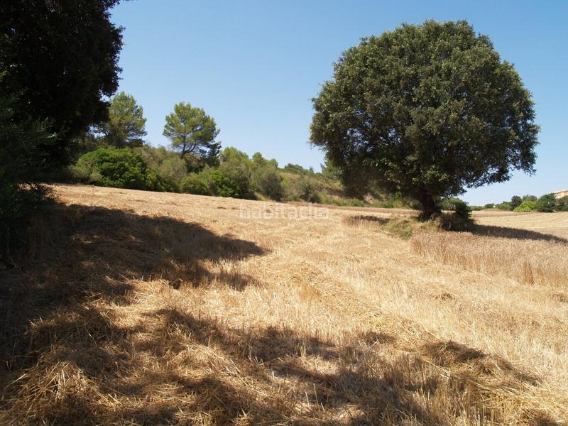 Foto 1c56ae91-d1c0-4395-a5f5-5aab05b91411. Propriété dans Santa Margalida poble Santa Margalida