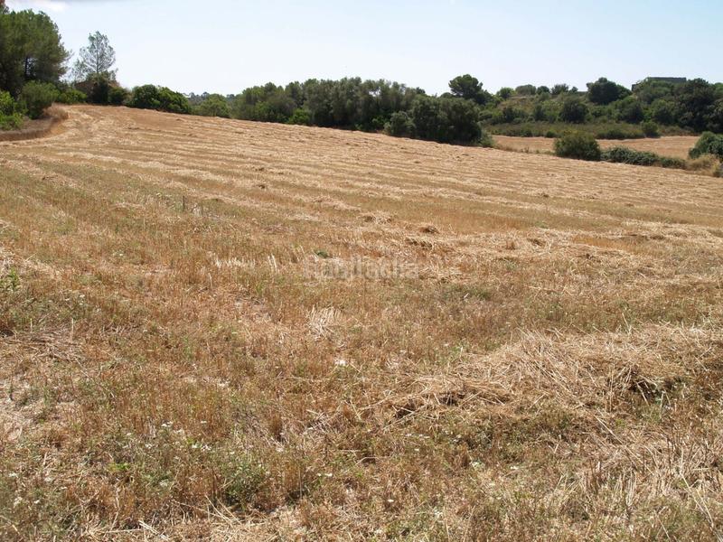 Foto 939611a6-84b0-45a6-8c5a-a243d29aa8a9. Propriété dans Santa Margalida poble Santa Margalida