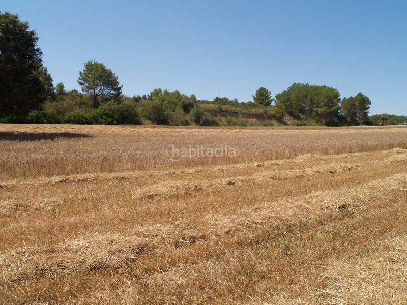 Foto a12697cd-2354-4f51-8a0a-e3b92ce8fd4f. Propriété dans Santa Margalida poble Santa Margalida