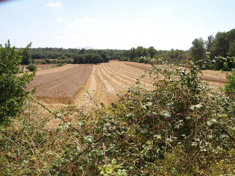 Foto a6c8cefc-e210-4fa8-8642-975d2a7fae42. Propriété dans Santa Margalida poble Santa Margalida