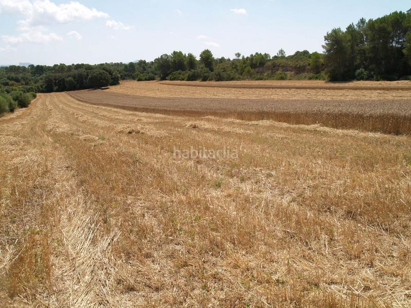 Foto ca07e5b5-f4d2-4bef-a814-2673502557f7. Propriété dans Santa Margalida poble Santa Margalida