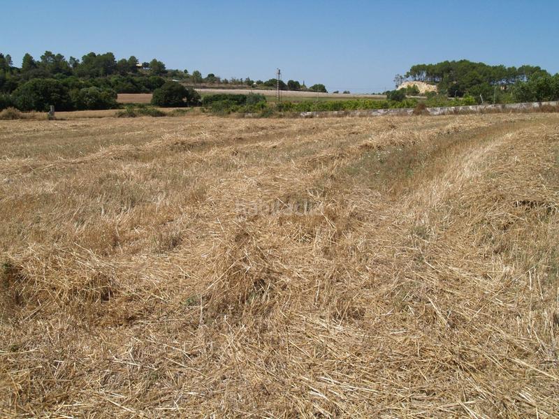 Foto ed5528c6-af95-4d8f-b651-bb9952017d52. Propriété dans Santa Margalida poble Santa Margalida