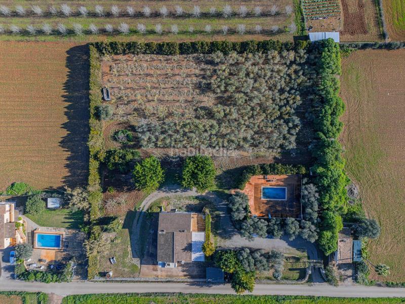 Foto 23ce8ac6-d89e-48dc-b4bd-f68c01253f36. Masia amb calefacció aparcament piscina a Manacor centre Manacor