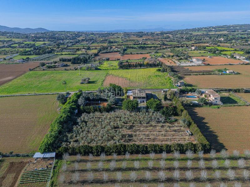 Foto 74b0b1ed-ef54-477c-82f4-8cca197bf097. Masia amb calefacció aparcament piscina a Manacor centre Manacor