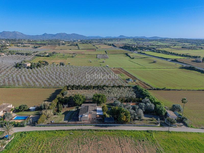 Foto ded474f4-6a00-42f5-a136-595ff9121ac7. Masia amb calefacció aparcament piscina a Manacor centre Manacor