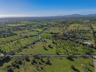 Residential Plot in S´Illot-Cala Morlanda. Gran parcela con proyecto en manacor