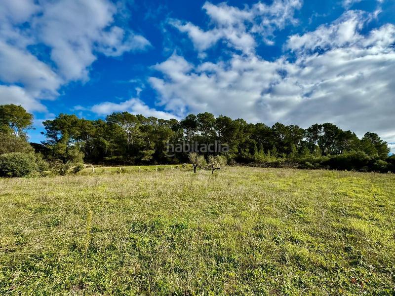 Foto 17667f27-7936-476f-aceb-1b2bf8b87391. Terreny residencial a Lloret de Vista Alegre