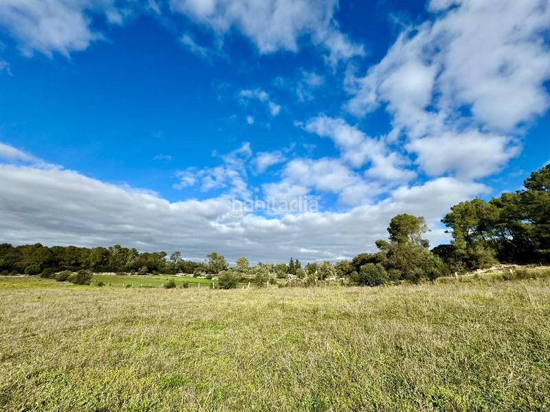 Foto 28e0c39d-99c5-4274-a3e2-d88dff71ee67. Terreny residencial a Lloret de Vista Alegre