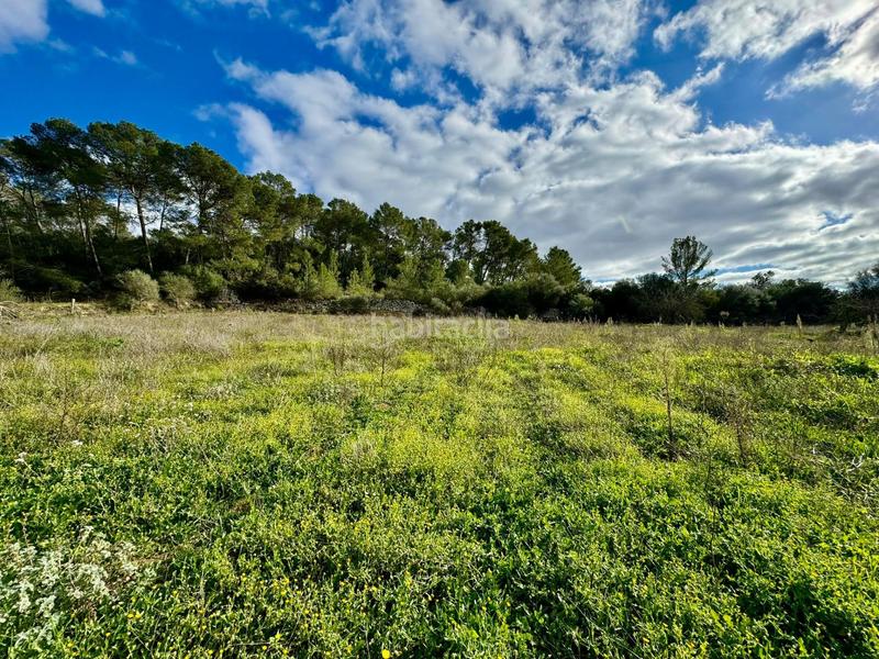 Foto 29c0506a-4a74-430c-b846-f64d4478591b. Terreny residencial a Lloret de Vista Alegre