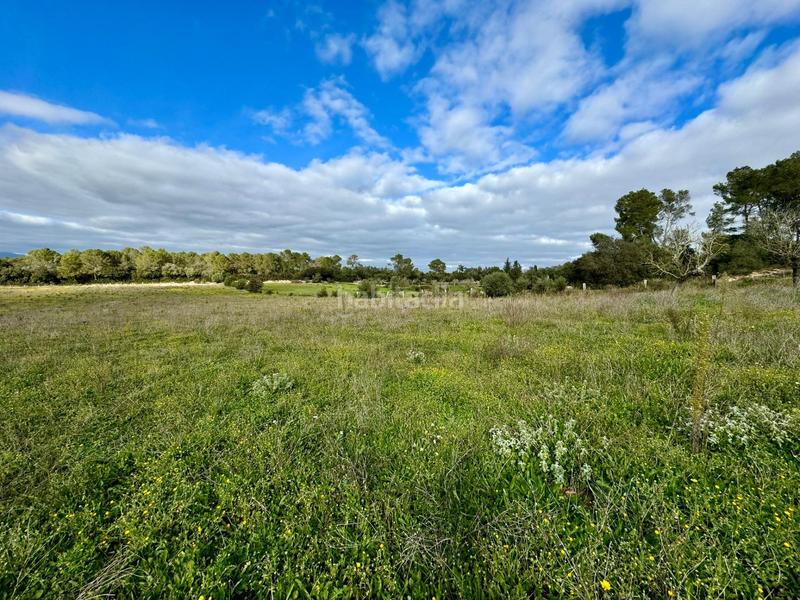 Foto 5c0c79b8-8123-41ef-8189-348c54024c0e. Terreny residencial a Lloret de Vista Alegre