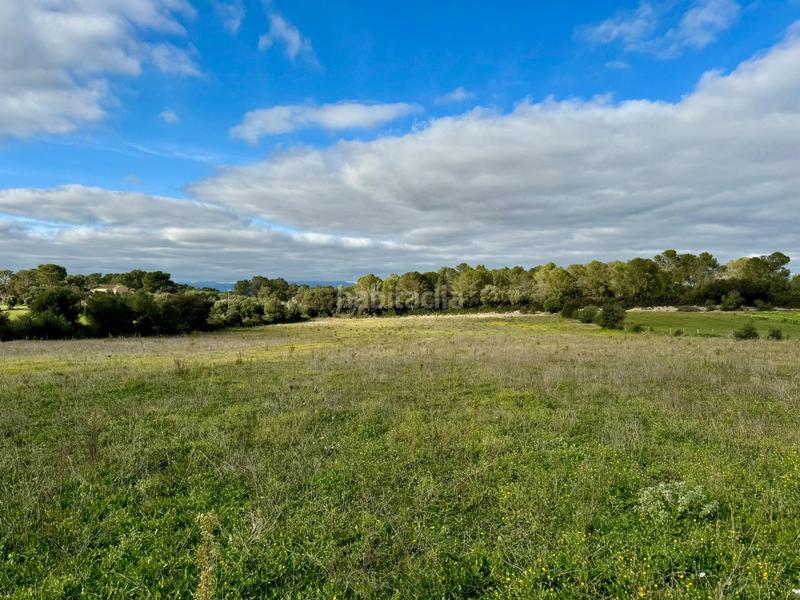 Foto 5cad6e04-af63-41f9-a13f-46091d220466. Terreny residencial a Lloret de Vista Alegre