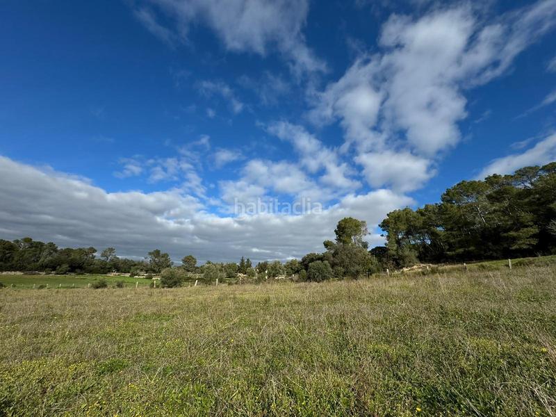 Foto 6095dbf2-0922-4782-a41b-279e0c3caf28. Terreny residencial a Lloret de Vista Alegre