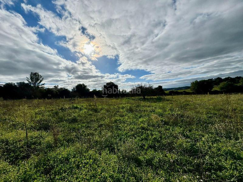 Foto 68afe401-bff1-4f6d-8150-8e326fa29187. Terreny residencial a Lloret de Vista Alegre