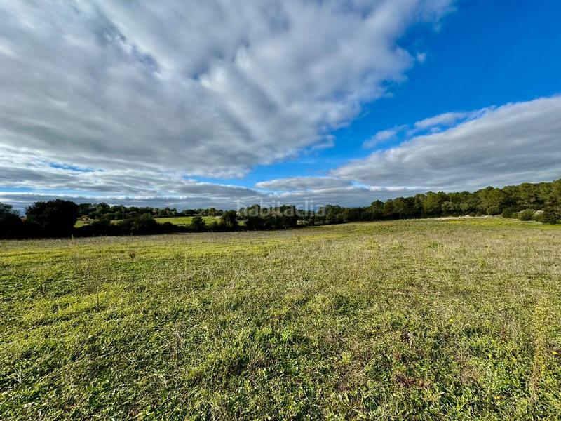 Foto 81403a81-aef0-41e3-8513-21821dfd0576. Terreny residencial a Lloret de Vista Alegre