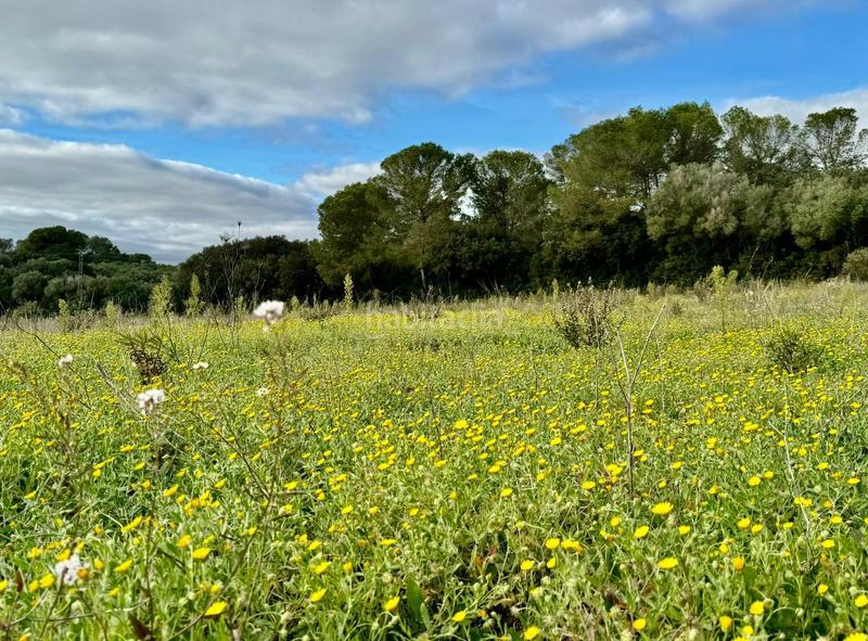 Foto 90362c35-0d85-4311-8cc4-4dad44b96678. Terreny residencial a Lloret de Vista Alegre