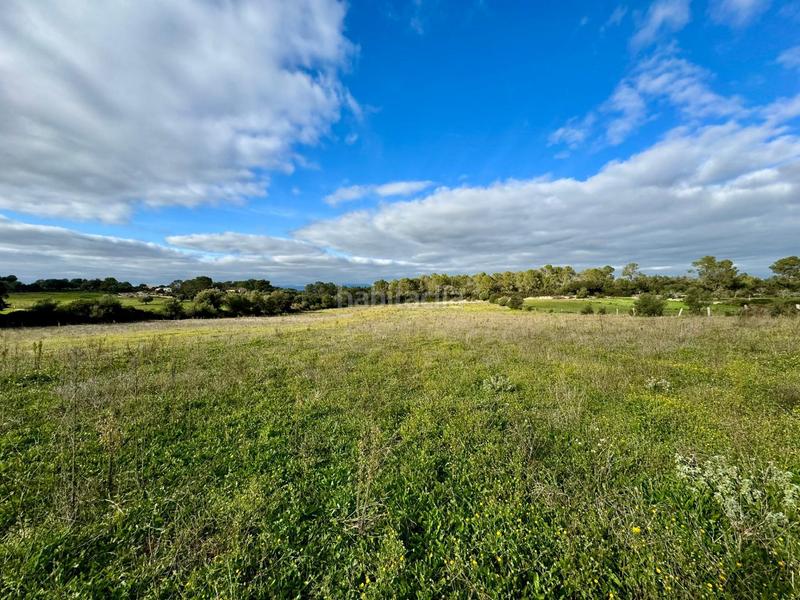 Foto bd00f12b-0ab3-4525-b935-8cc22c8d5faf. Terreny residencial a Lloret de Vista Alegre