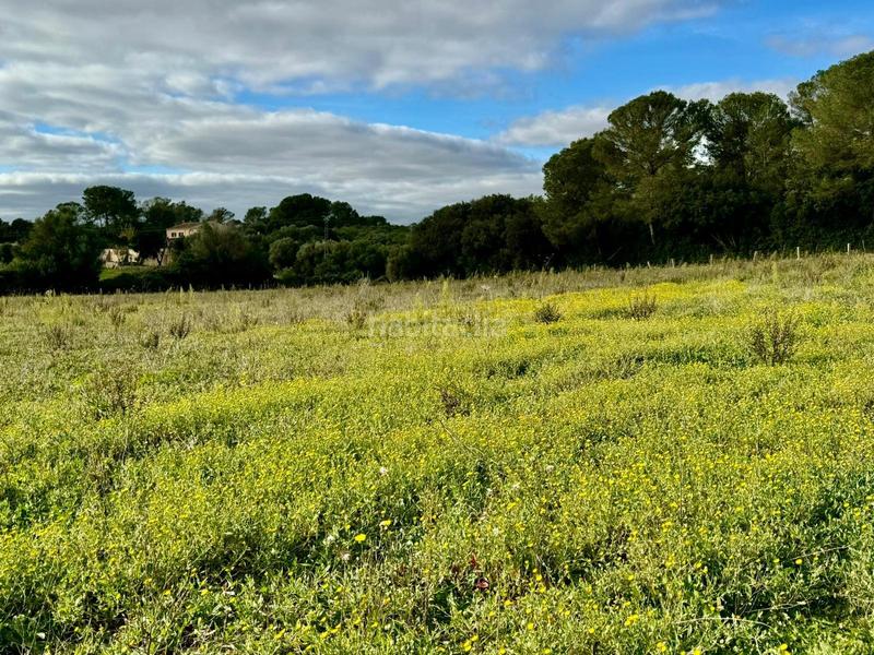 Foto e2adcc9b-8485-41bc-b507-e210a3de46f1. Terreny residencial a Lloret de Vista Alegre