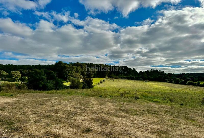 Foto e36b5de9-9dbb-413e-a654-8294ec9eee4a. Terreny residencial a Lloret de Vista Alegre