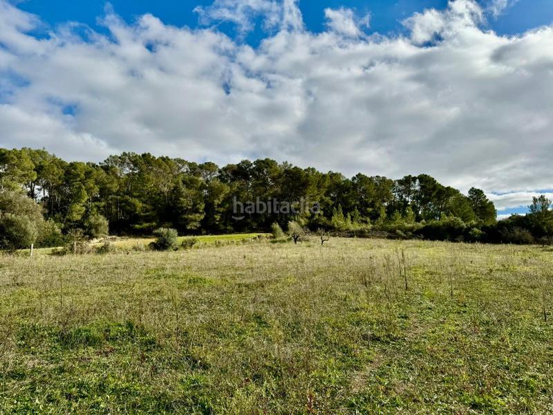 Foto e5688a4e-c2ed-4546-b01c-860b33bfb5d9. Terreny residencial a Lloret de Vista Alegre