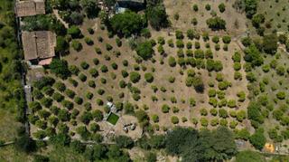 Country house in Sóller. Finca rústica y terreno agrícola en sóller