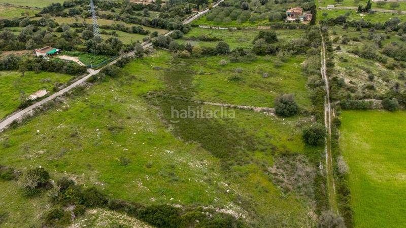 Foto bb3203a4-5d72-4a67-a5e2-aa733bd5b658. Finca rústica terreno rústico urbanizable en Zona d´Interior Son Servera