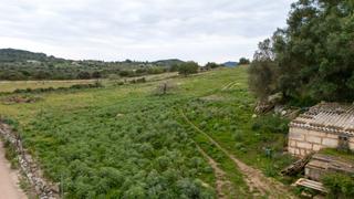 Finca rústica a Zona d´Interior. Parcela rústica edificable de 16.867m2 en son servera