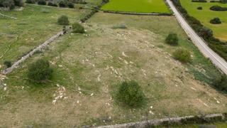 Finca rústica a Zona d´Interior. Parcela rústica edificable de 14.000 m en son servera  mallorca