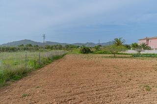 Residential Plot in Porreres. Solar urbano en porreres