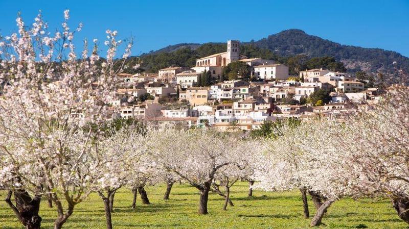 Foto ead3d39e-ef38-4efb-bc6b-a83e8ac1e2f4. Casa con riscaldamento piscina in Selva