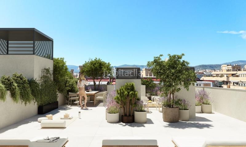 Foto a162b3bb-669f-47b9-bc73-52b7583403b6. Piso en Es Camp Redó Palma de Mallorca