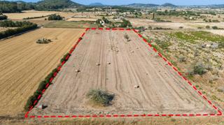 Wohngrundstück in Sineu. Terreno edificable de 14.411 m2 con vistas despejadas en sineu