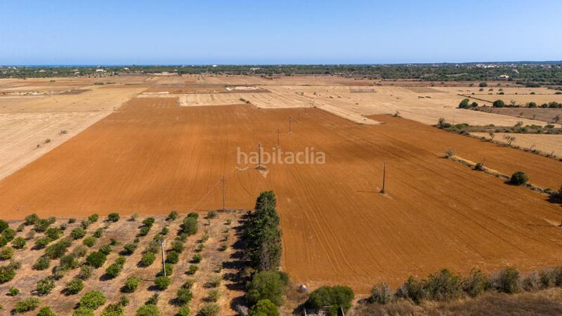 Foto 1eca6354-1927-44ec-b268-3821ceab4f3c. Masia amb aparcament piscina a Es Llombards Santanyí