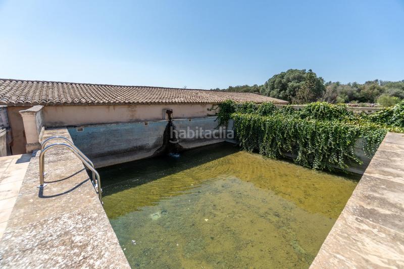 Foto 21b6fd2d-cadd-4b42-91aa-ac0c943b988b. Masia amb aparcament piscina a Es Llombards Santanyí