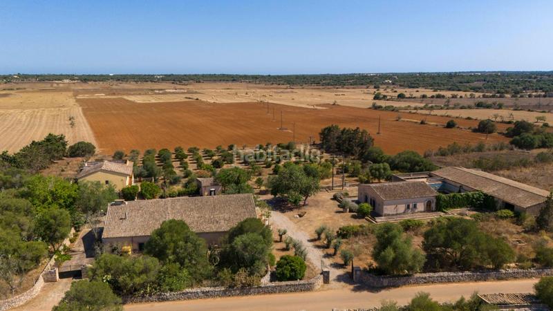 Foto d20891a7-c7d5-4a53-9dfb-13d1c3aa042d. Masia amb aparcament piscina a Es Llombards Santanyí